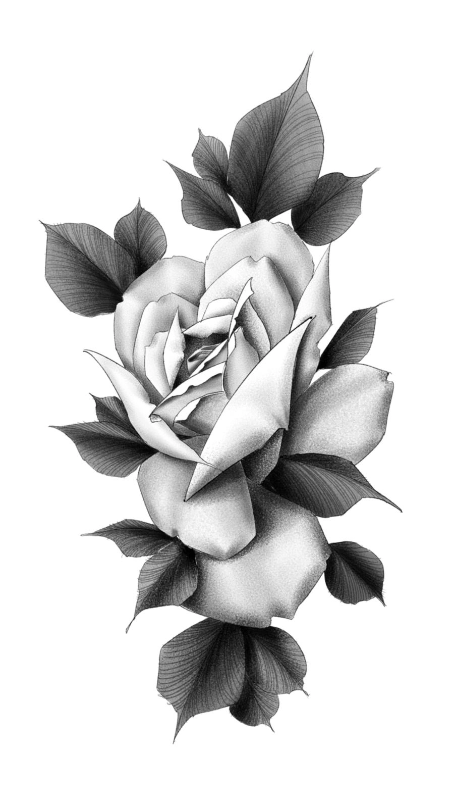 Flash tattoo disegni originali Rimini Black Swan studio tattoo art illustrazione